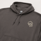 Charcoal gray hoodie with 'Alpine Pals' logo on a light gray background