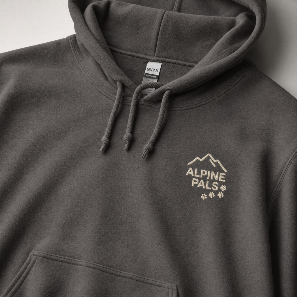 Charcoal gray hoodie with 'Alpine Pals' logo on a light gray background