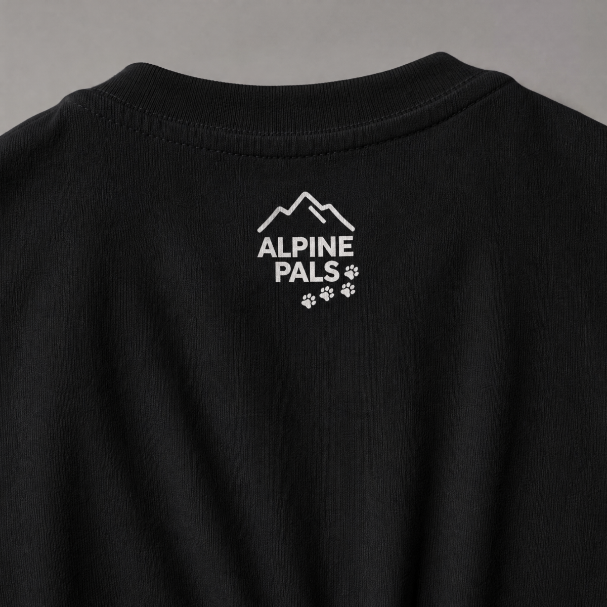 Black shirt with 'Alpine Pals' logo on a gray background