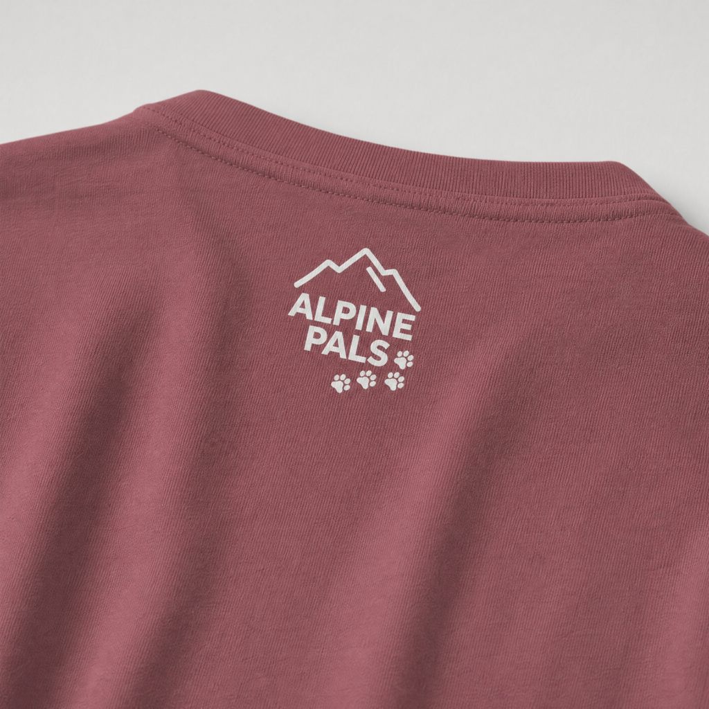 Brick red t-shirt with 'Alpine Pals' logo on a light gray background