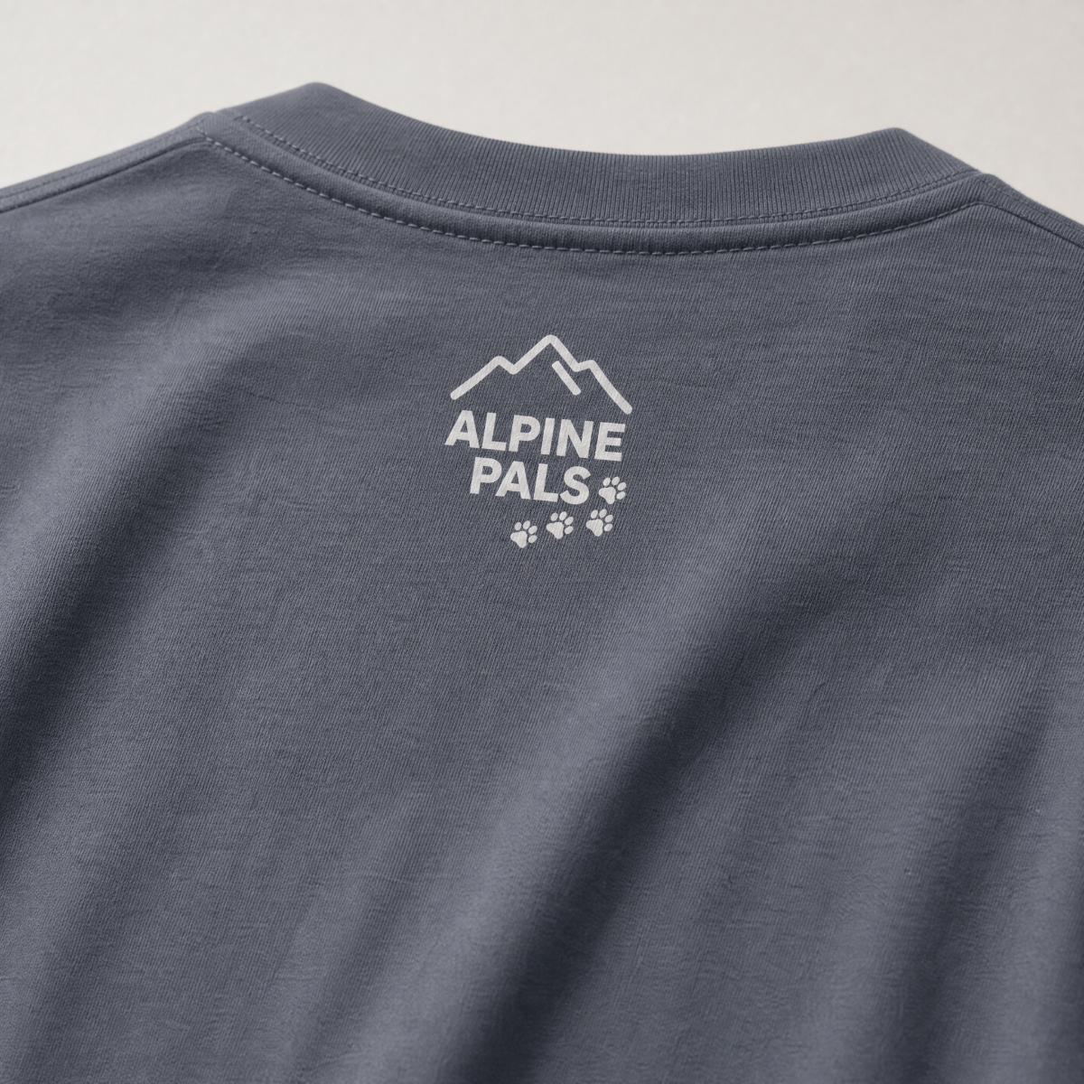 Denim gray t-shirt with 'Alpine Pals' logo on a light gray background