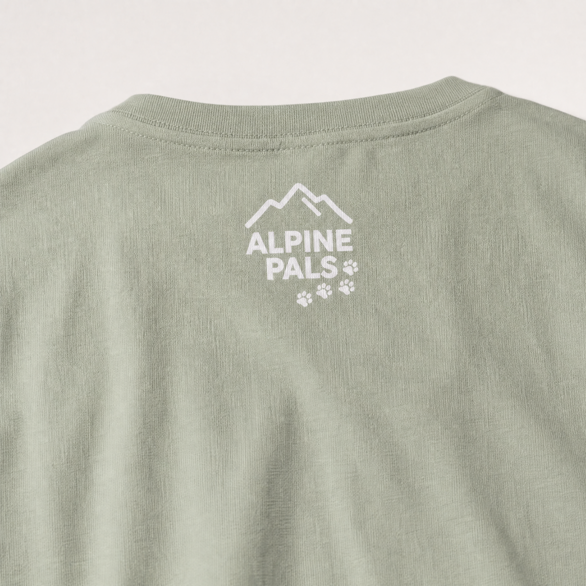 Bay green t-shirt with 'Alpine Pals' logo on a light gray background