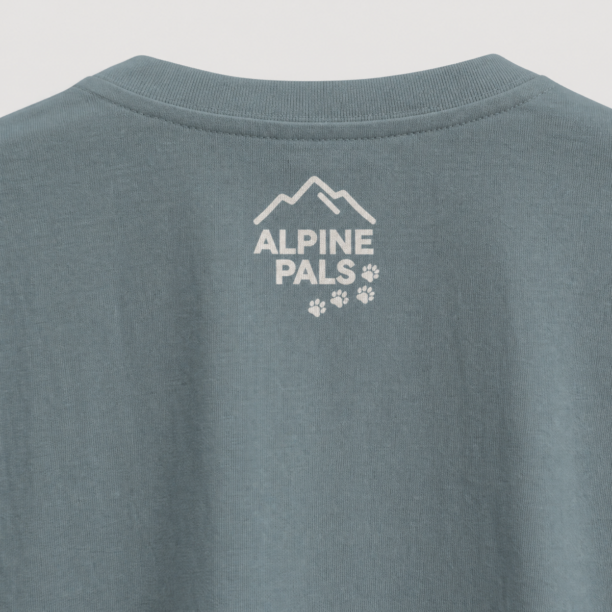 Ice blue colored shirt with 'Alpine Pals' logo on a light gray background
