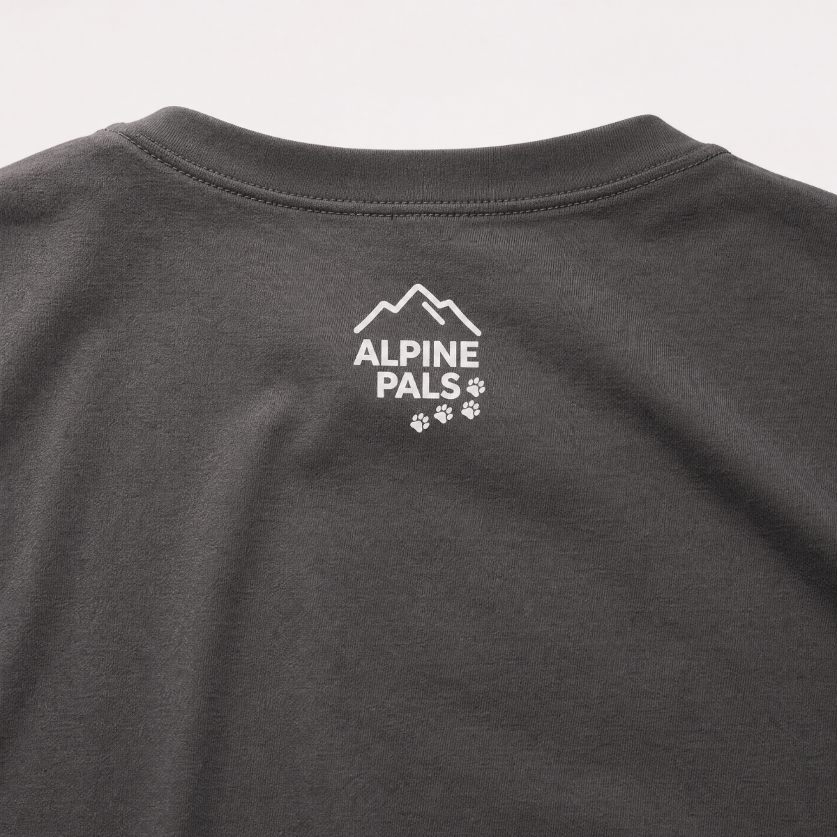 Graphite gray shirt with 'Alpine Pals' logo on a light gray background