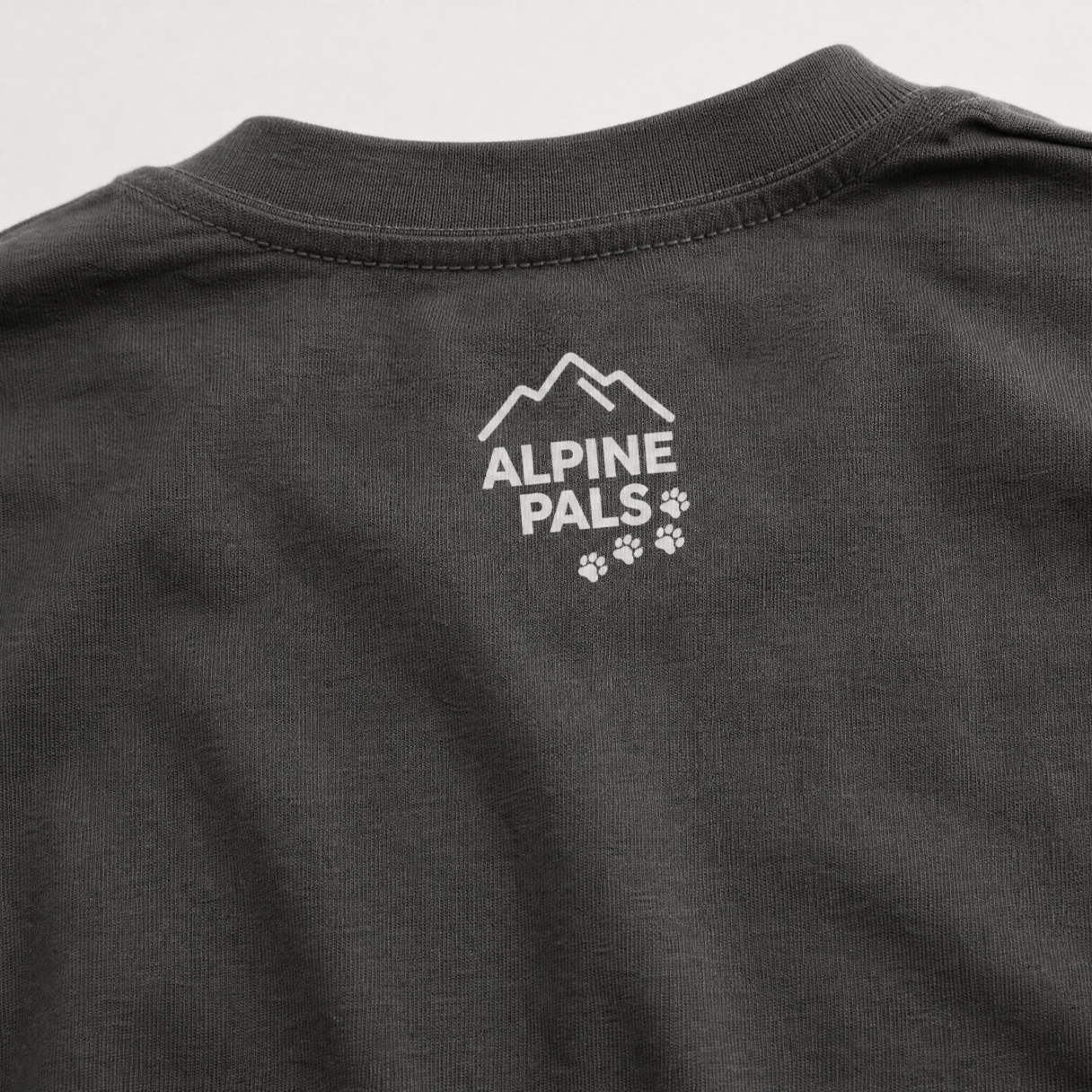 Black t-shirt with Alpine Pals logo on a gray background