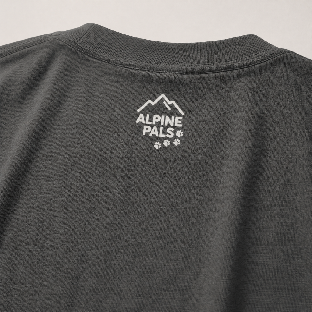 Pepper gray t-shirt with 'Alpine Pals' logo on a light gray background