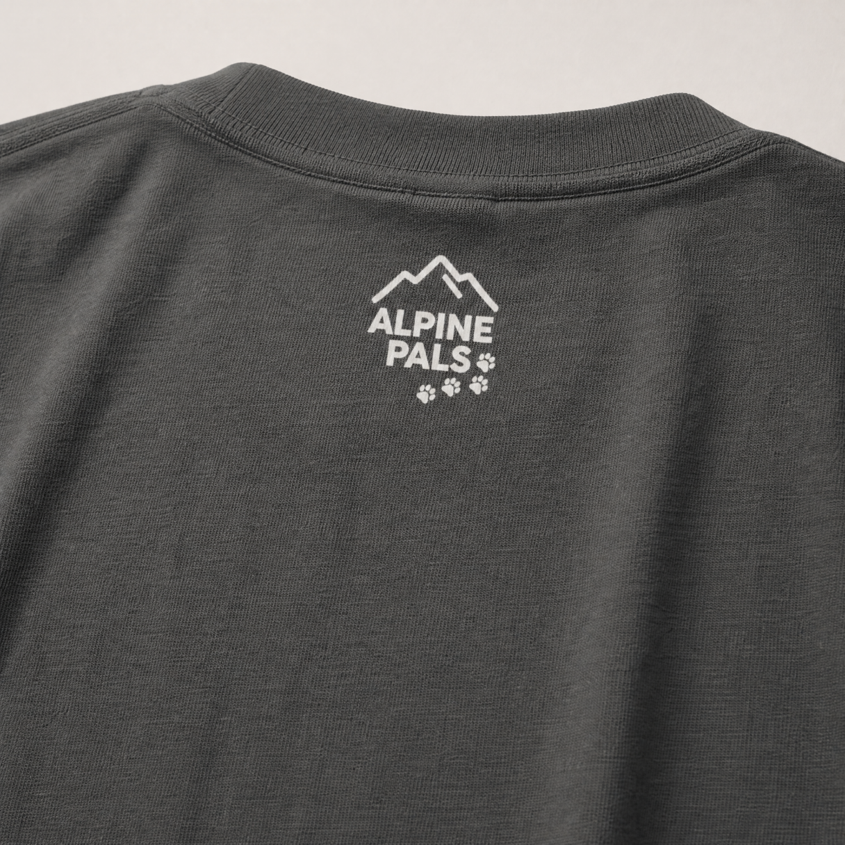 Pepper gray t-shirt with 'Alpine Pals' logo on a light gray background