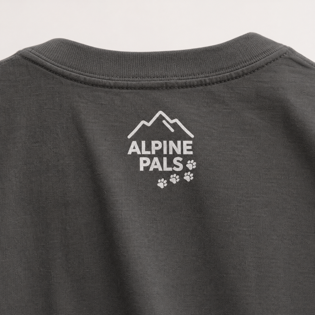 Gray sweatshirt with 'Alpine Pals' logo on a plain background