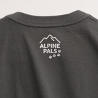 Gray sweatshirt with 'Alpine Pals' logo on a plain background